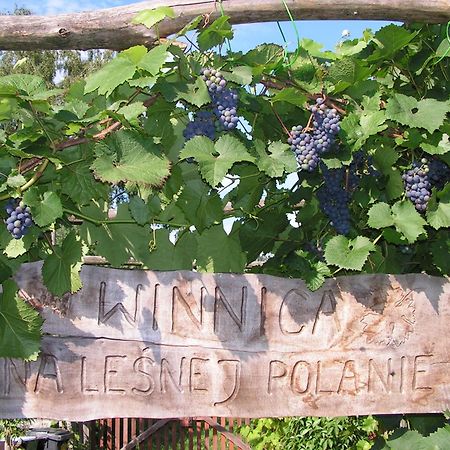 Winnica Na Lesnej Polanie Zabor Buitenkant foto