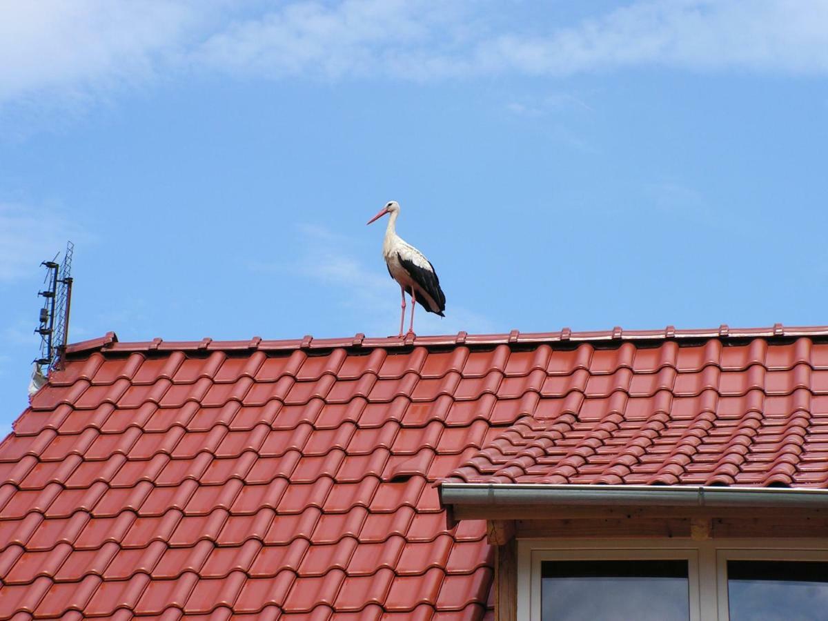 Winnica Na Lesnej Polanie Zabor Buitenkant foto